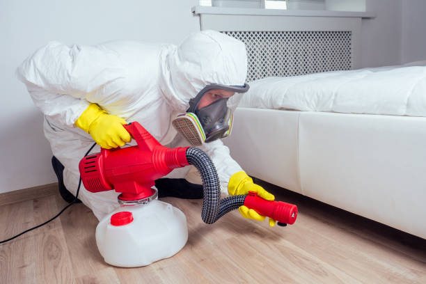 Real Estate Pest Inspections in Albany, OR